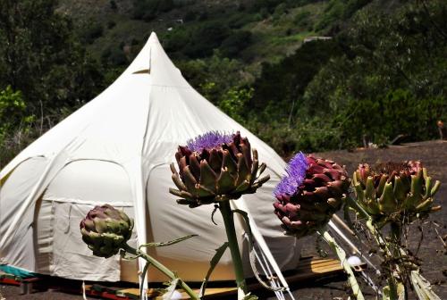 Фотография базы отдыха Free Canari - Los Alamos 8