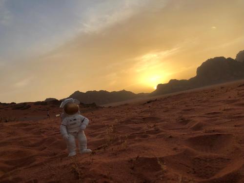 Фотография кемпинга Wadi rum nice camp & Tours