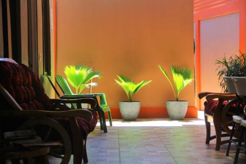 Фотография мини отеля Apartamentos Mansión Tropical