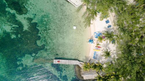 Фотография гостиницы Thatch Caye Resort a Muy'Ono Resort