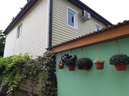 Фотография гостевого дома Калипсо