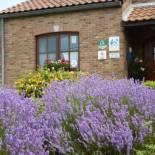 Фотография мини отеля B&B La Chrysalide