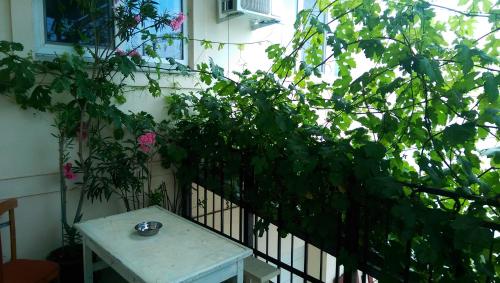 Фотография гостиницы Мини-отель + кемпинг возле моря