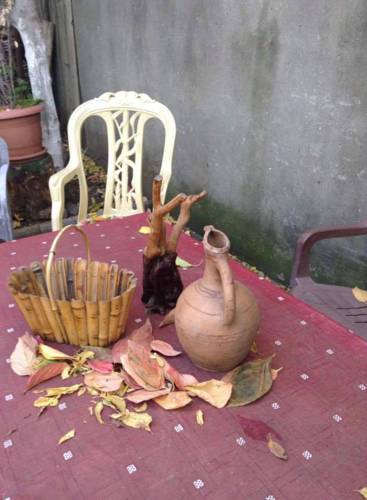 Фотографии гостевого дома
Guest House Panorama