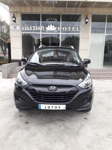 Фотография гостиницы Lotus