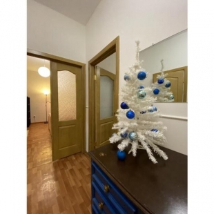 Фотография квартиры CheckInn (ЧекИнн) на проспекте Победы 50