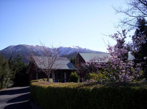 Фотография мотеля Forest Peak Motel