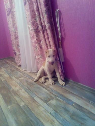 Фотографии гостевого дома
Ночлег как дома