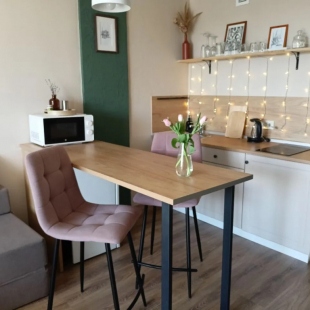 Фотография квартиры Квартира Студия Прибрежный