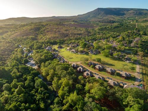 Фотография гостиницы Hazyview Cabanas