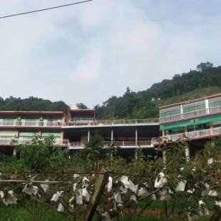 Фотографии мини отеля
King Villa