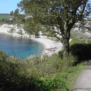 Фотографии гостевого дома
Belmont House Beer - Adults Only - Free Parking