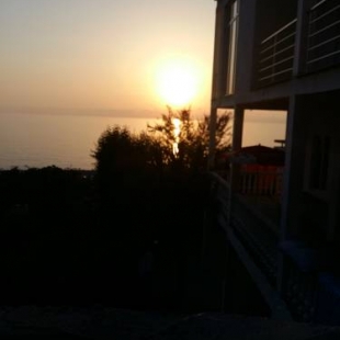 Фотография гостевого дома Temo's guest house