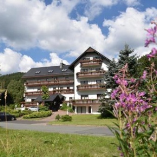 Фотография гостиницы Hotel Thüringer Wald