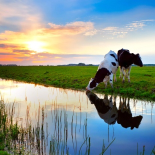 Фотография предприятий Старорусское молоко