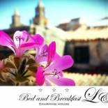 Фотография мини отеля Bed and Breakfast L&P