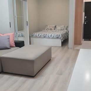 Фотография квартиры Квартира Центральные Люкс Грей