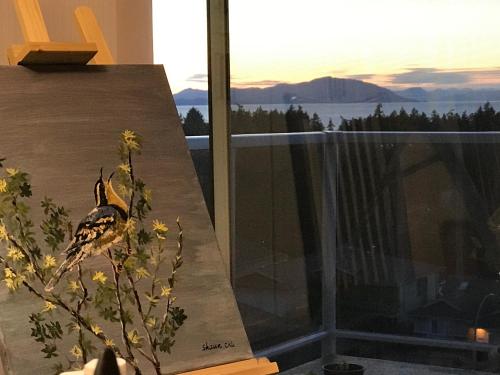 Фотография гостевого дома Ocean Melody Vacation Rooms