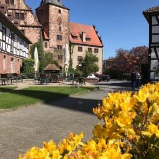 Фотографии гостиницы
Hotel Vorderburg
