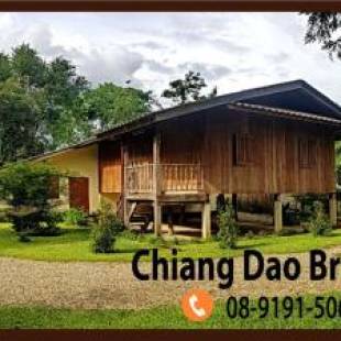 Фотографии хостела
ChiangDao Brown Hostel