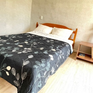 Фотография квартиры Sweethome23 На Белинского, 2 (2)