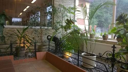 Фотографии гостиницы
Слон