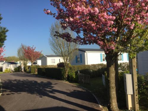 Фотография кемпинга Camping Caravaning Les Cerisiers Berck sur mer