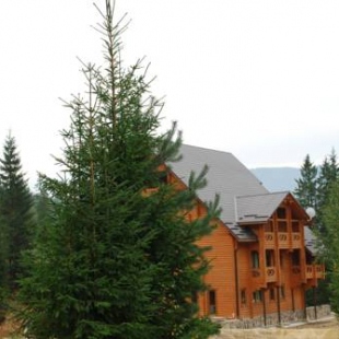 Фотография гостиницы Карпатские Джерела