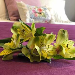 Фотографии гостиницы
Reina Mora Hotel