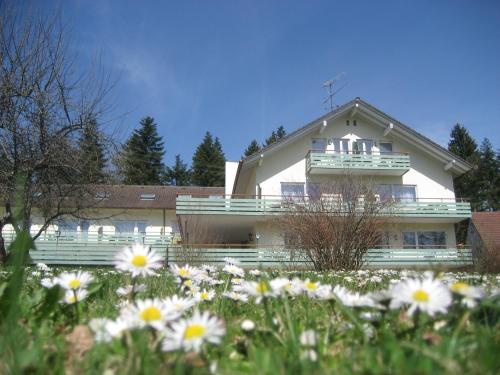 Фотография гостиницы Hotel Landhaus Waldesruh