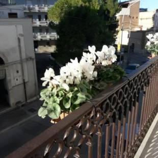 Фотографии мини отеля
B&B Saffi