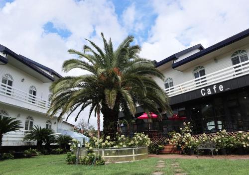 Фотографии гостиницы
Jeju Resortel