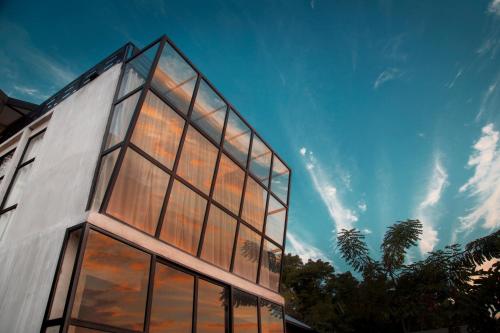 Фотография мини отеля Flores Passport House