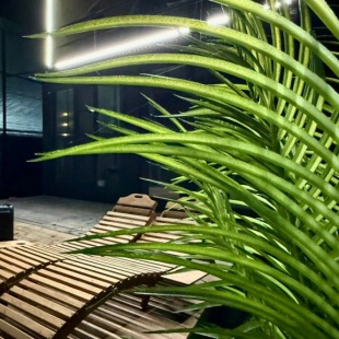 Фотография Коттеджа Частный дом Saniba_house