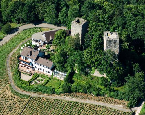 Фотография гостиницы Burg Windeck ***S