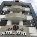 Фотография гостиницы Hotel Seny