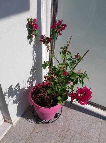 Фотографии гостевого дома
Pislis Rooms