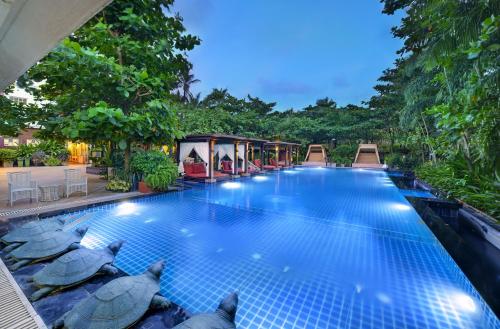 Фотография гостиницы Mayfair Palm Beach Resort