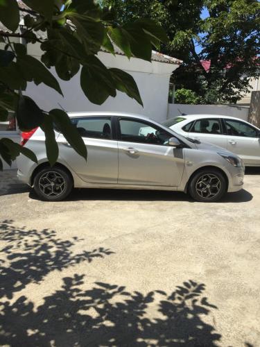 Фотография гостевого дома Green Garden