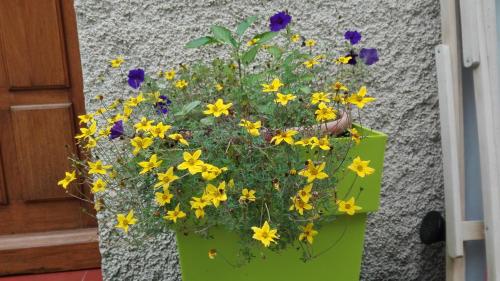 Фотография гостевого дома La Petite Maison de Marie Louise