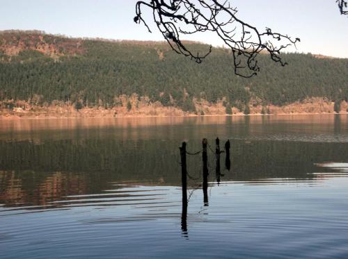 Фотография гостиницы Foyers Roost