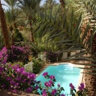 Фотографии гостевого дома 
            Villa Zagora Ma Villa au Sahara