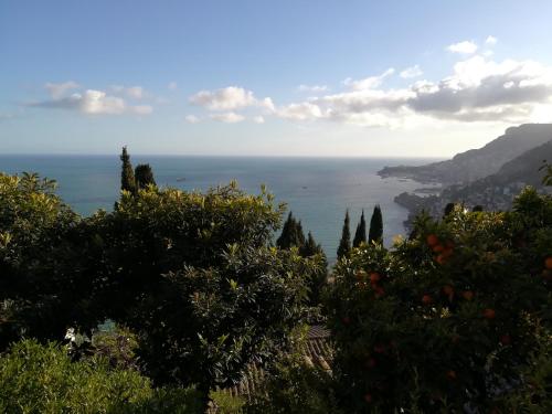 Фотография мини отеля La Bombonière & Spa