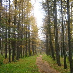 Фотография достопримечательности Парк имени 1 Мая