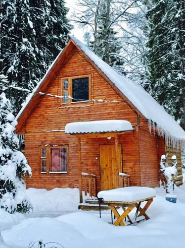 Фотография мини отеля Конни