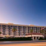 Фотография гостиницы Holiday Inn Resort Galveston - On The Beach, an IHG Hotel