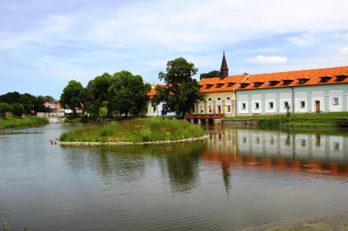 Фотография гостиницы Hotel Čertousy