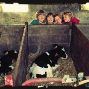 Фотографии базы отдыха
De Grote Linde