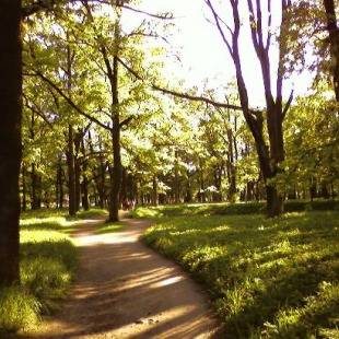 Фотография достопримечательности Ботанический сад