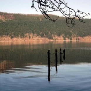 Фотографии гостиницы
Foyers Roost